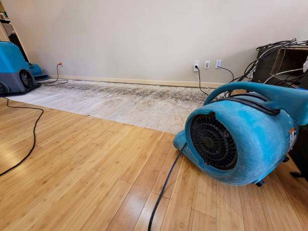 Professional Water Removal technician working in Reinholds, PA